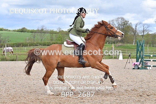 BPP_2687 - FRI CLASS 4 95CM AM CHAMP QUAL