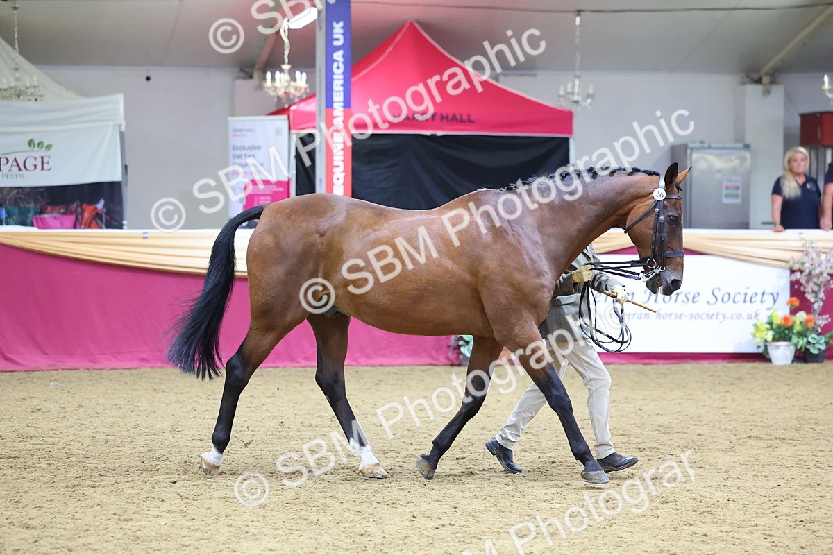 SBM_19517 - Class 901 - Supreme Final - IH Diamond