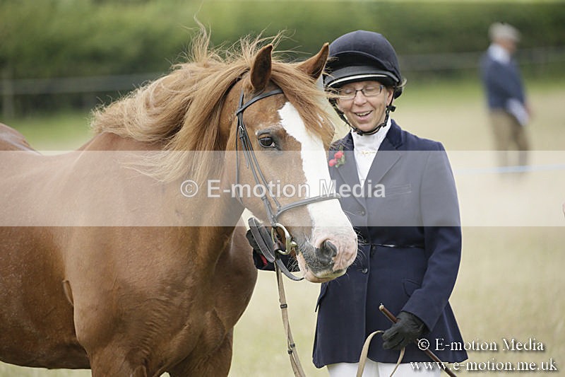 B230619-0483 - Bourne Valley Riding Club Summer Show 23/06/19