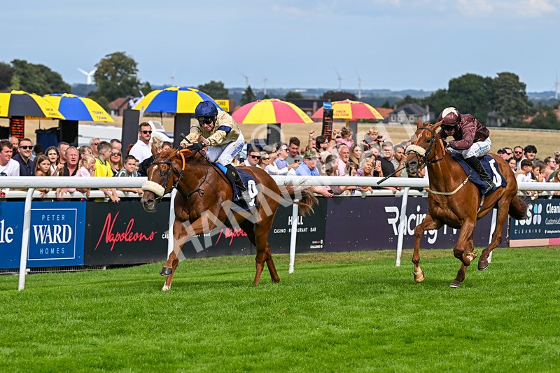 300826-Race 3-Pivotal Voyage-0180 - Race 3 2.50pm Churchill Tyres EBF Restricted Maiden Fillies' Stakes