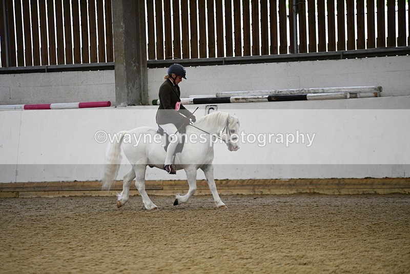 WJ5_6483 - Class 9 Ridden Veteran