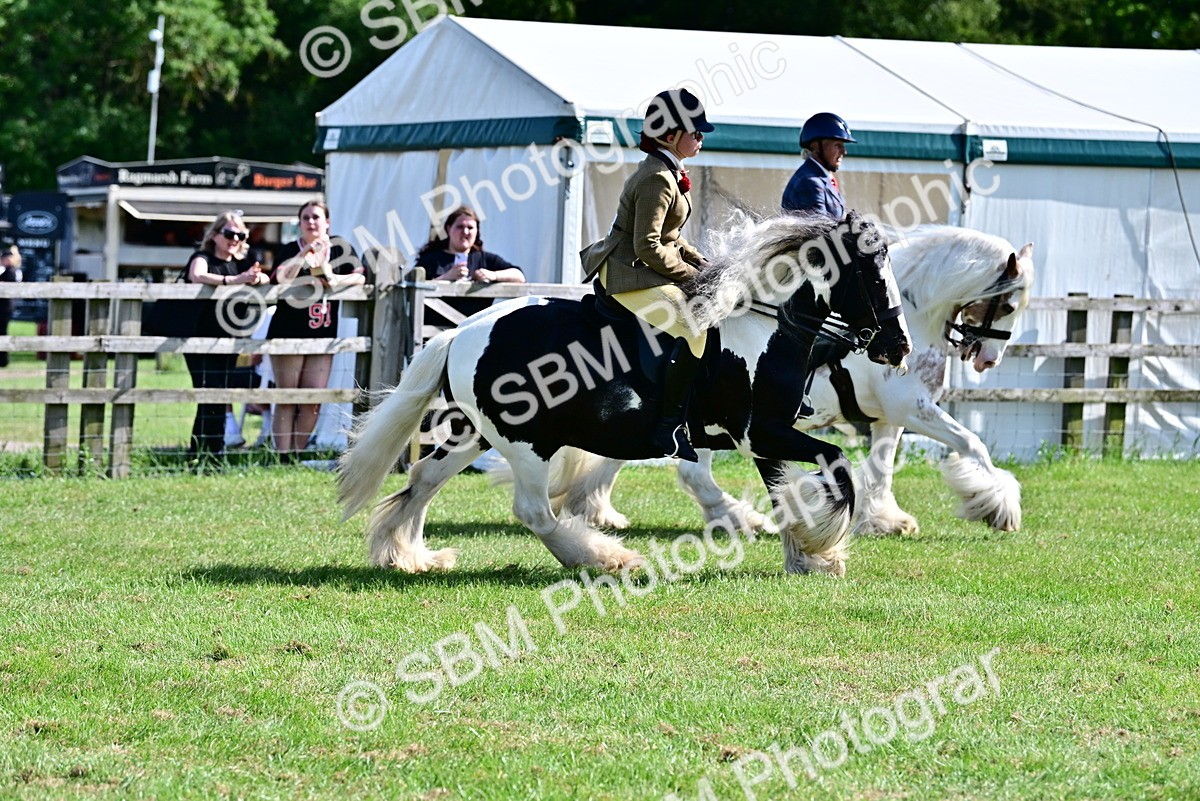 SBM_09308 - Class 63-65 - Traditional Gypsy Cobs In Hand & Ridden