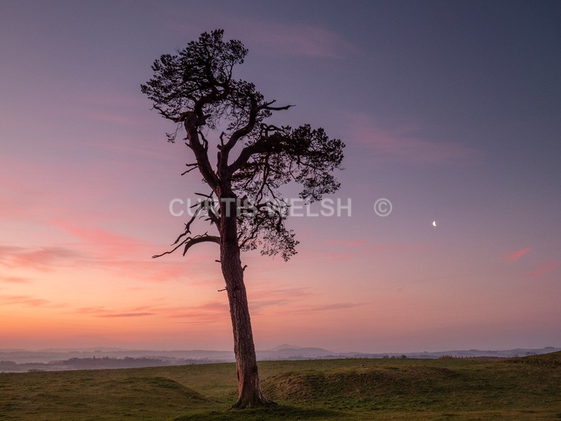 Dawn - SCOTTISH BORDERS