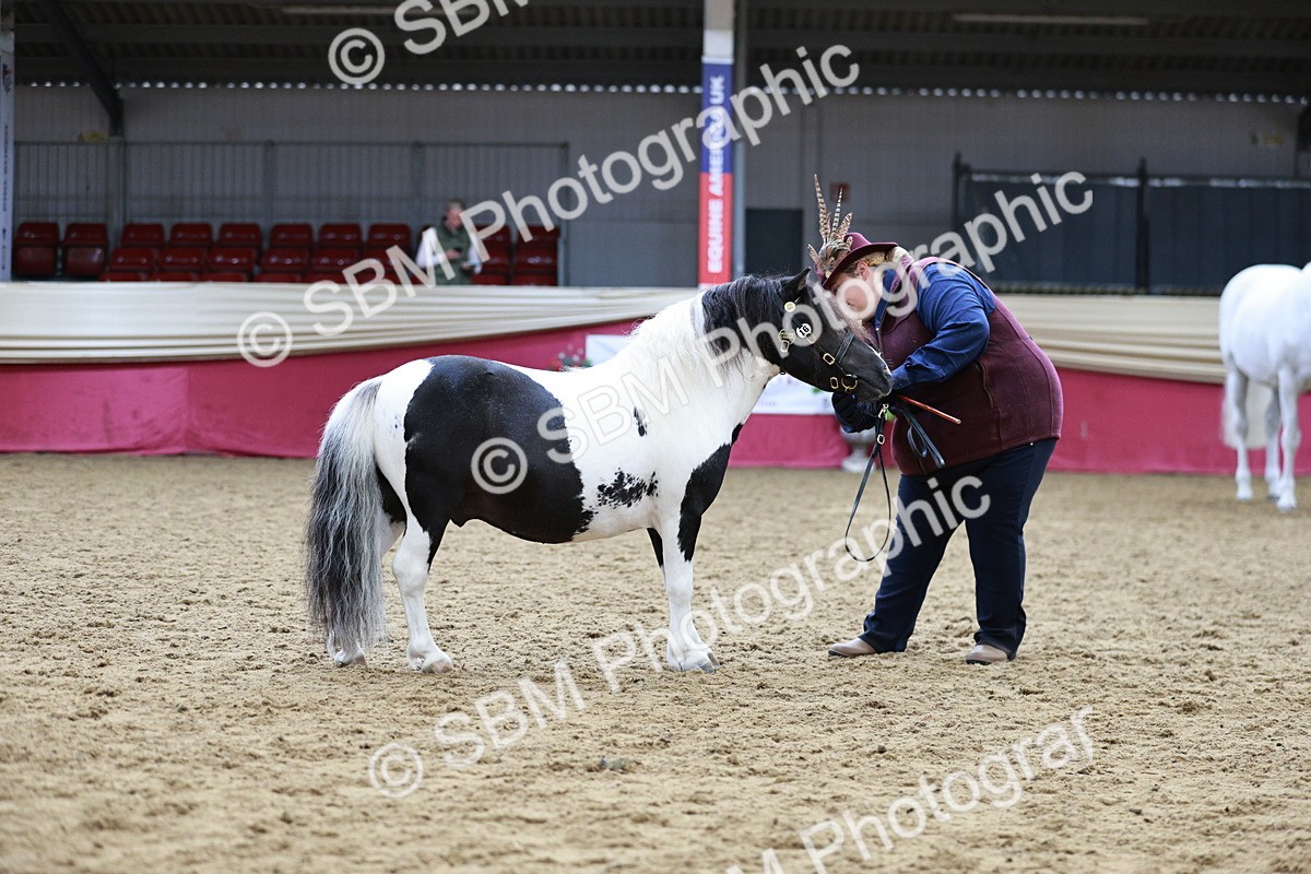 SBM_01266 - Class 3A - Area IH Pre-Vet
