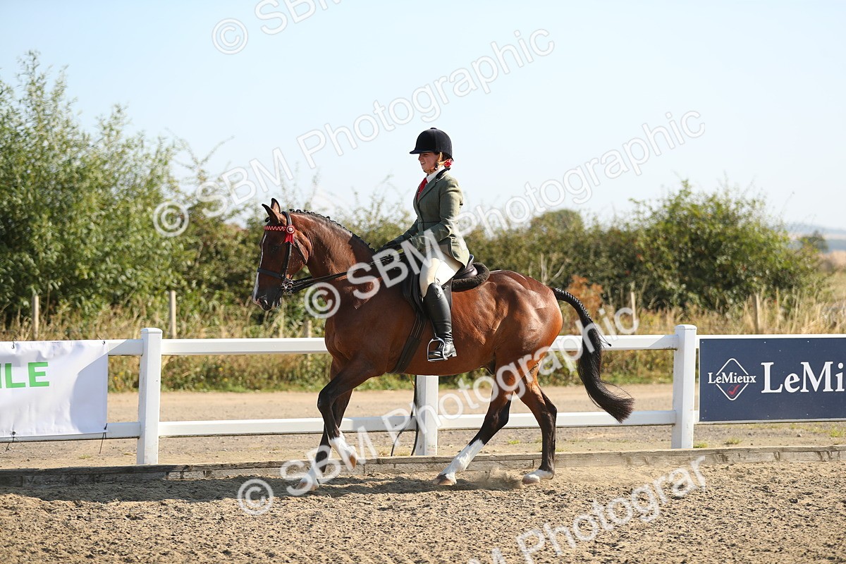 SBM_01145 - Class 42 Ridden Veteran