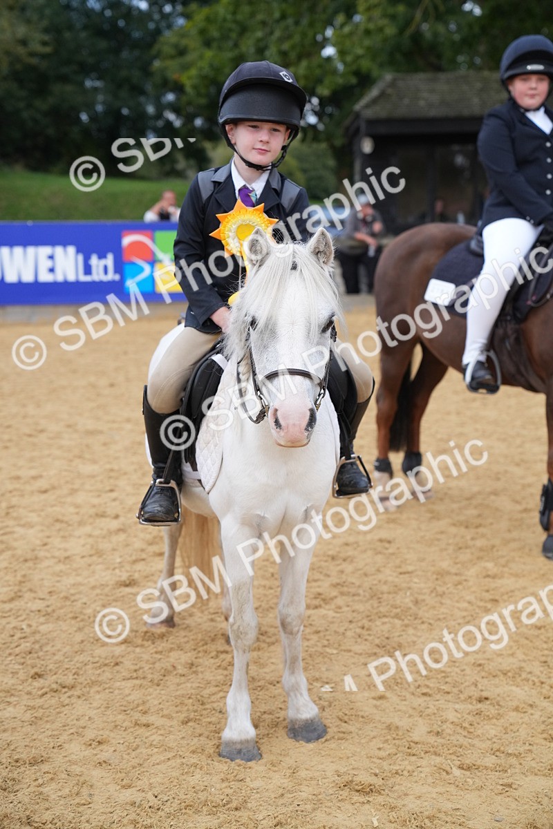SBM_74933 - J4 - Mini Tour Junior Pony 45cm Championship