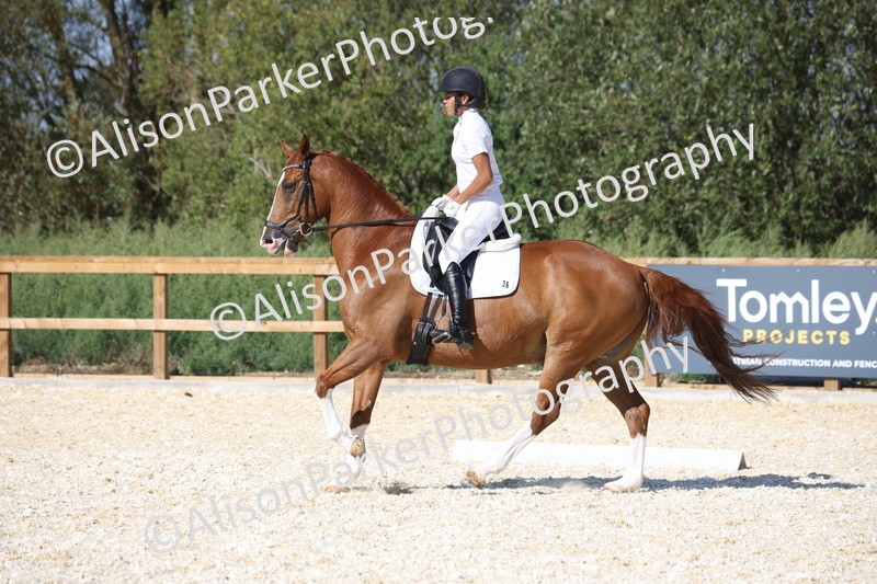 20260905-1551 - Class 5 - Novice 2