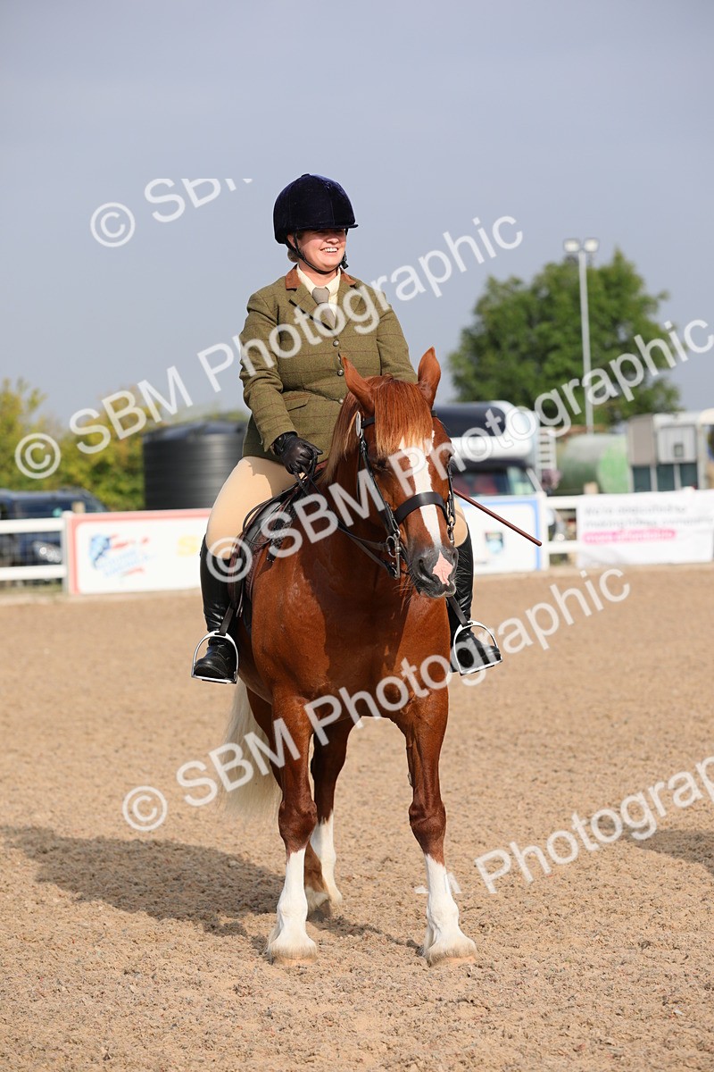 SBM_10137 - Class 302 Ridden M&M -Large Breeds