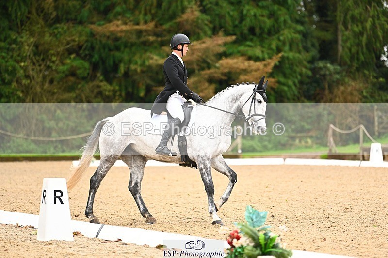 231021-122450-15138 - 348-KILMINGTON.FOLLY-Gubby.Leech-DR