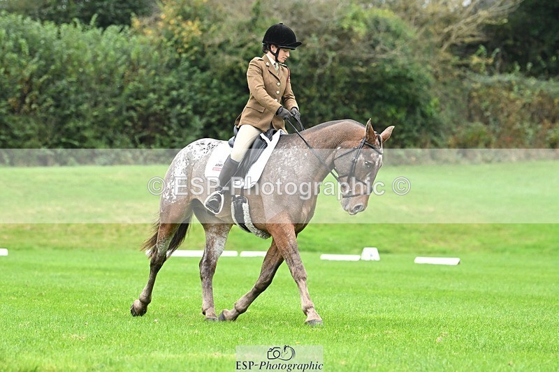 241024-105046-03069 - 501-Captain.Holly.Day-MUSTANG