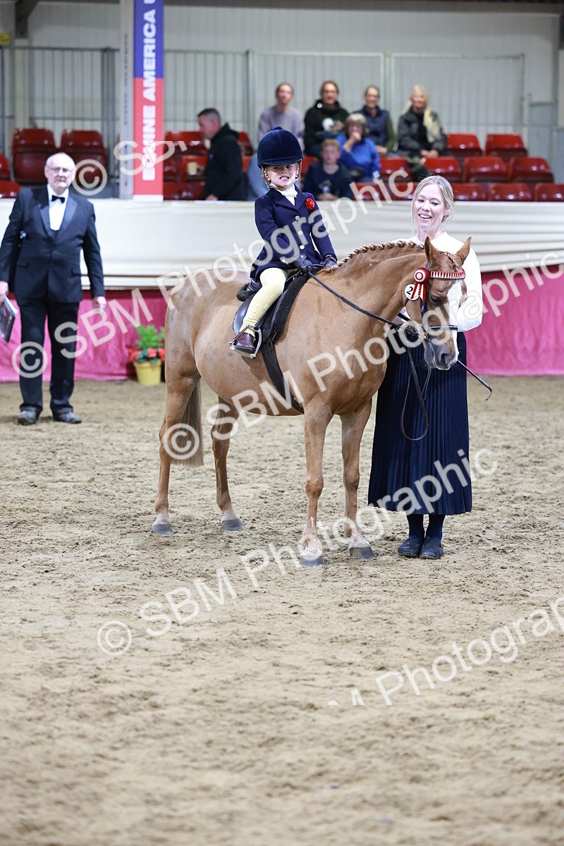 SBM_20574 - Class H - IH Competition - Riding Club champ
