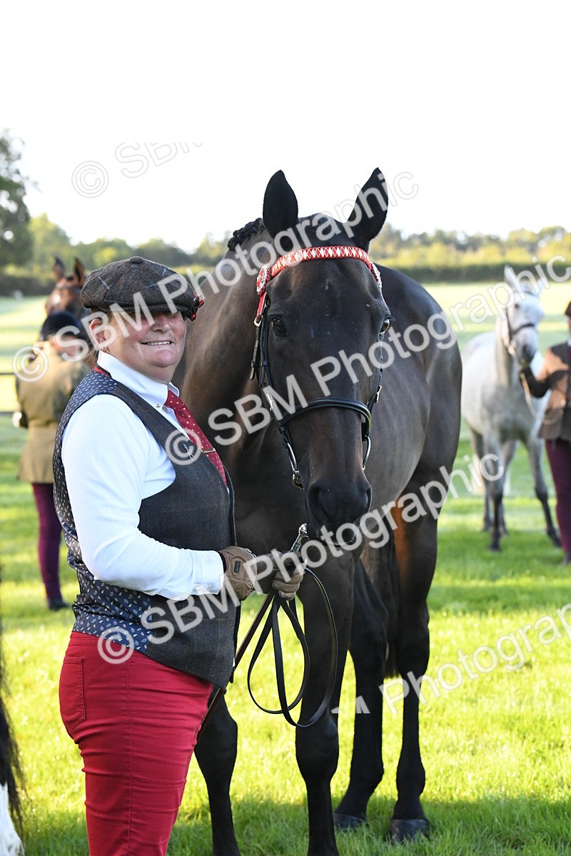 SBM_32725 - S15 - Condition & Turnout In Hand