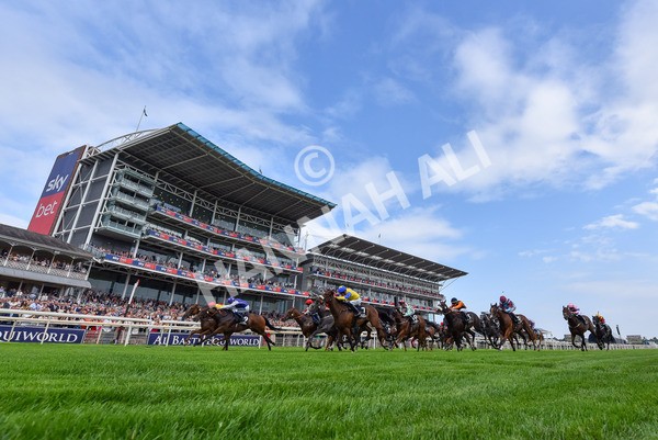 250725-Race 1-Pressures On - Quest For Fun-7626 - Race 1 5.30pm eventmasters.co.uk Handicap