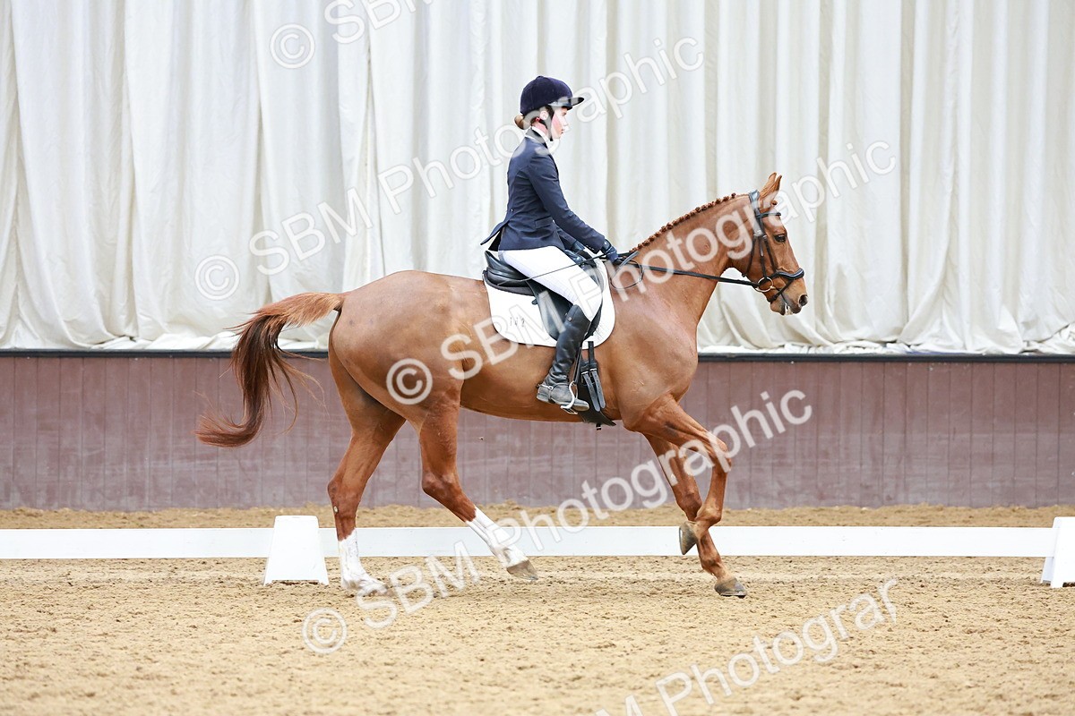 SBM_003452 - Class 11 - Novice 2