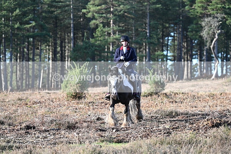 WJ7_7289 - Line 3 (no line 4 or 5)