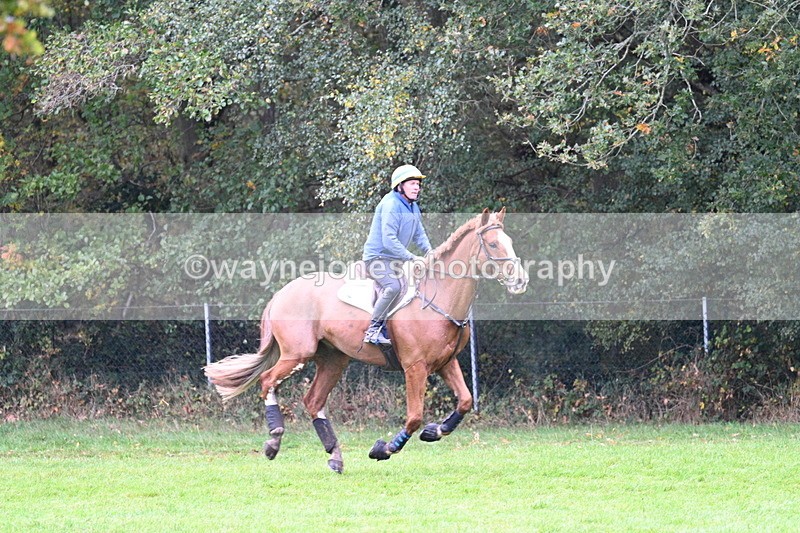 WJ7_5220 - Time 13:00 to 13:18