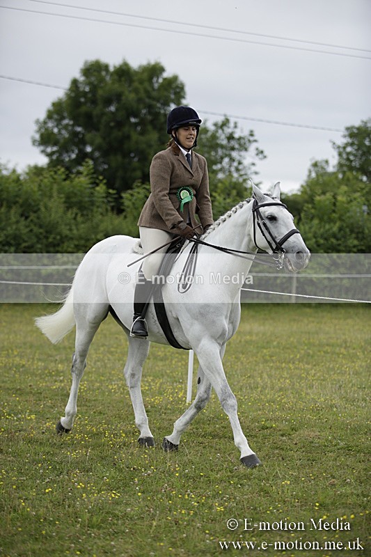 BVR160717-1068 - Ring 1 BVRC Show 16/07/17