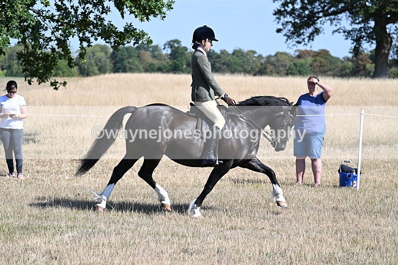 WJ7_3728 - Class 9 Mountain & Moorland Ridden