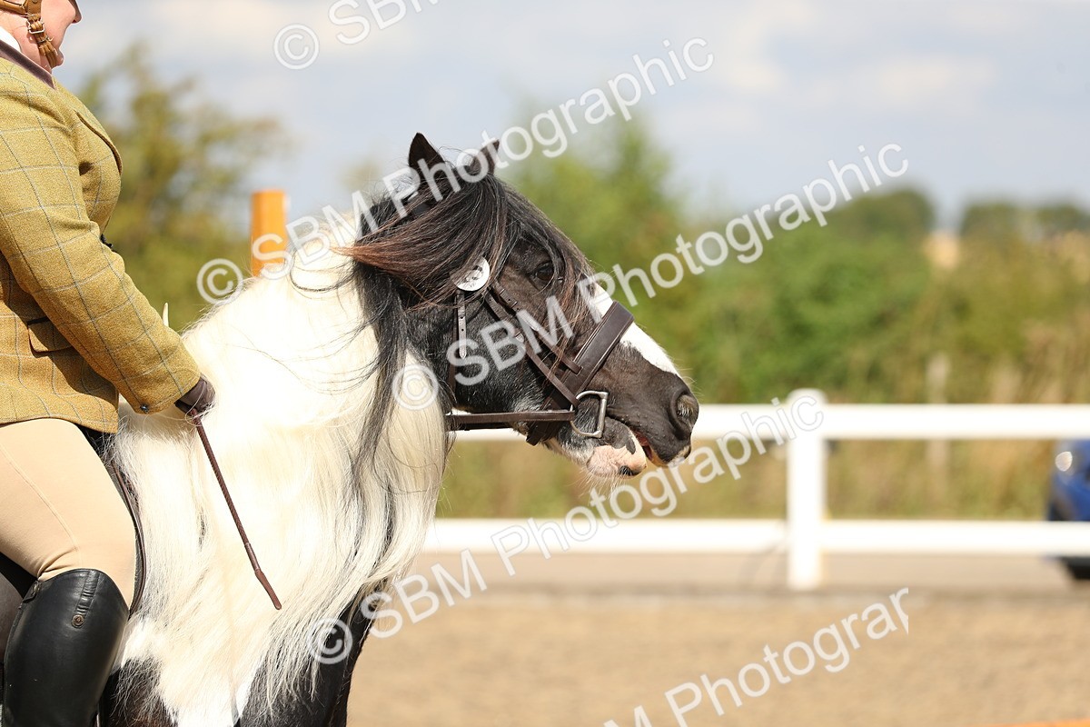 SBM_04242 - Class 46a Style & Performance 50cm (15-19)