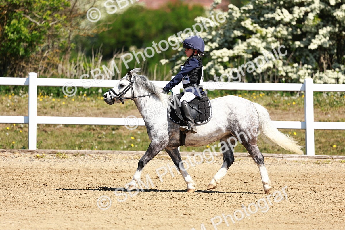 SBM_007272 - Class 3 - 60cm