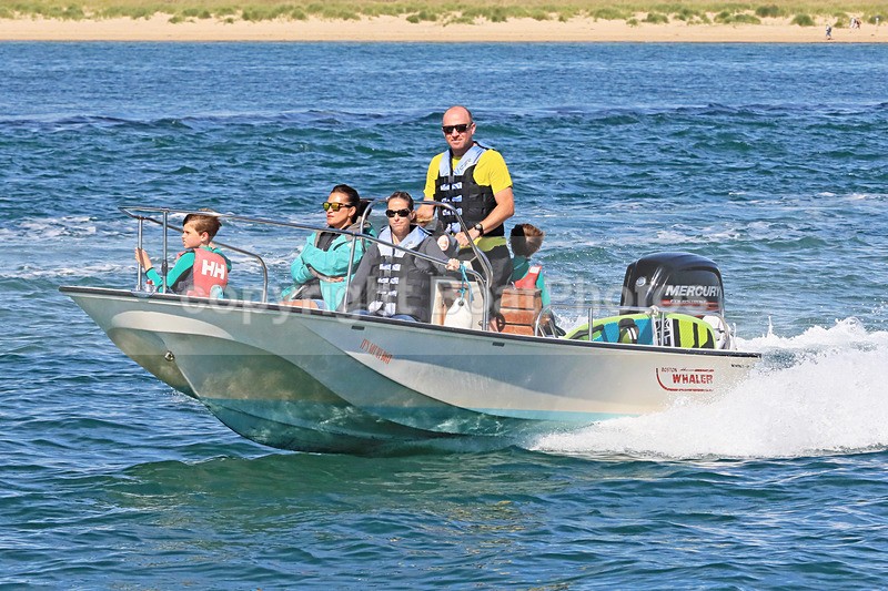 170813 ITS NOT MY BOAT - BOSTON WHALER 1Y3A2638 - RIBs, Tenders, Dories, Dinghies