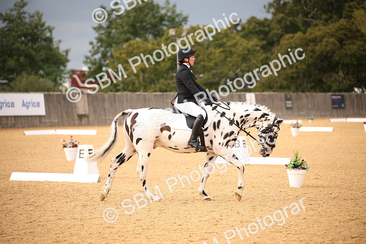 SBM_12298 - D3 Small  Tour Championship Intro A