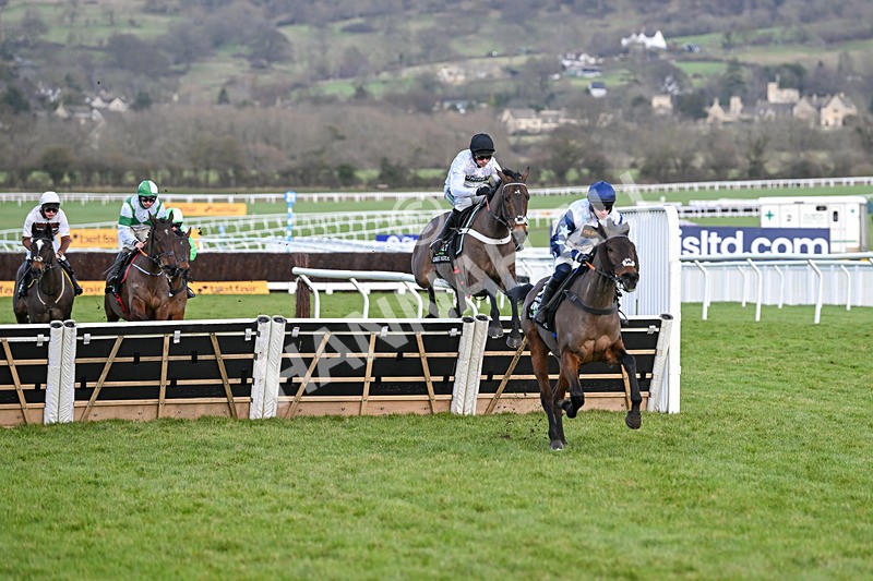 250125-Race 5-Constitution Hill-4636 - Race 5