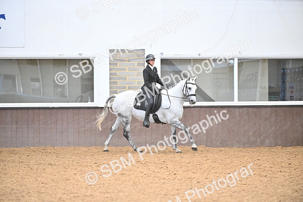SBM_002629 - Class 28,29 - Ridden Irish & Coloured