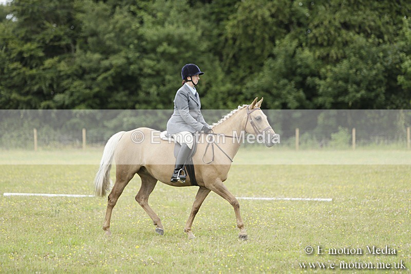 BVR160717-1187 - Class 2 Dressage 16/07/17