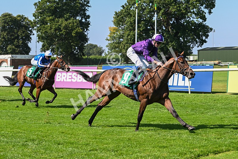 300824-Race 1-Tuscan Hills-5623 - Race 1