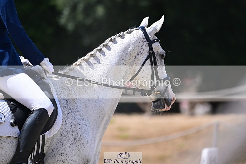 260802A-122553-06551 - Novice Bronze break - end
