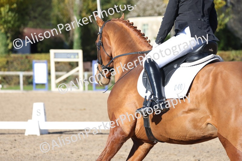 20251102-0953 - Class 5 - Elementary 5