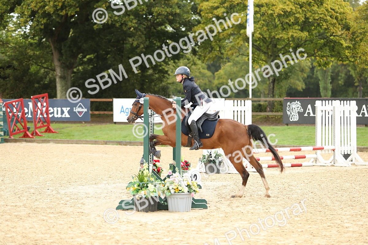 SBM_34208 - J60 Clear Round 50cm