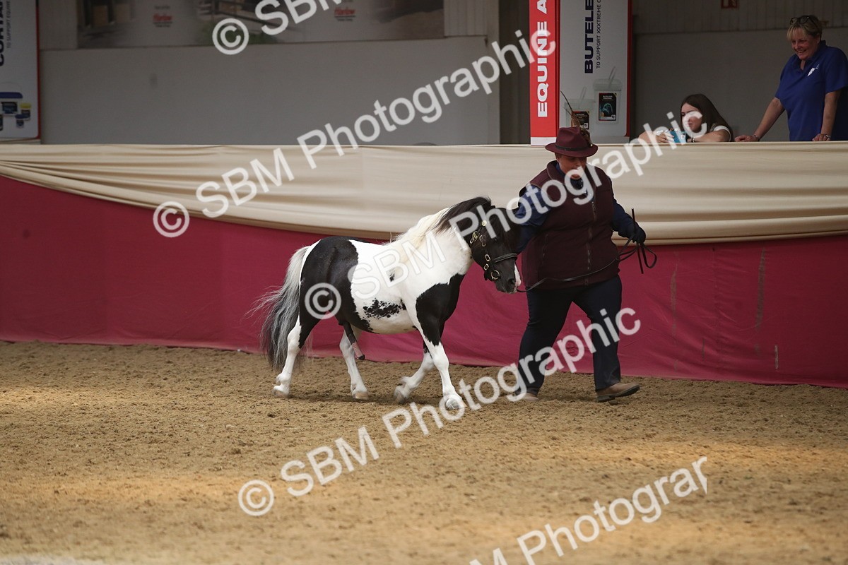 SBM_05596 - Class 9R - Regional IH Pre-Vet