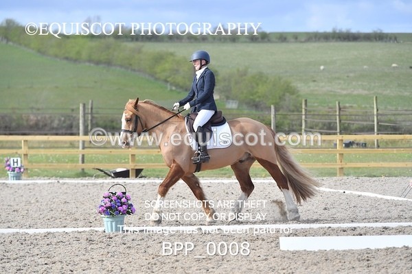 BPP_0008 - MY QUEST NOVICE 2