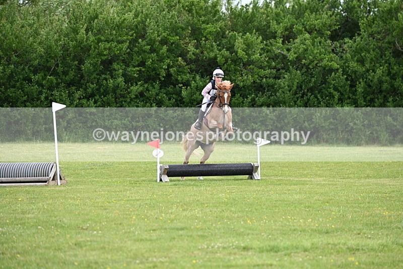 WJ6_2443 - Class 2 40cm