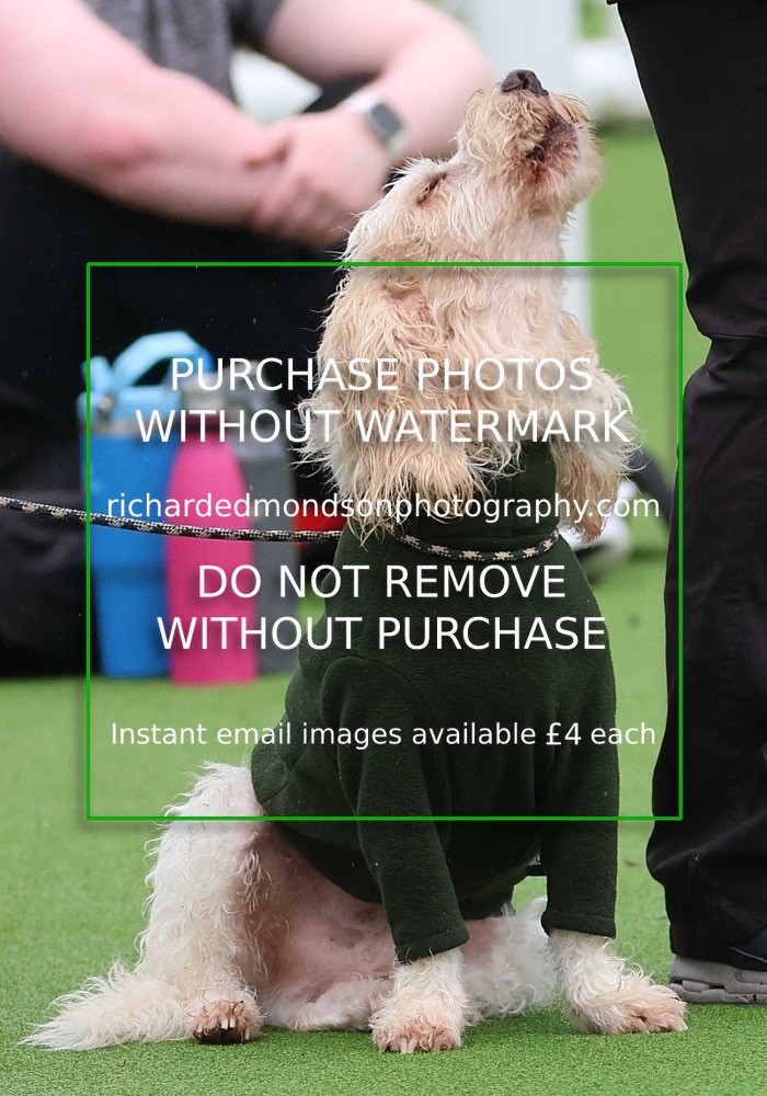 533A1398 - Ambleside Hockey vs Keswick Hockey (20/9/25)