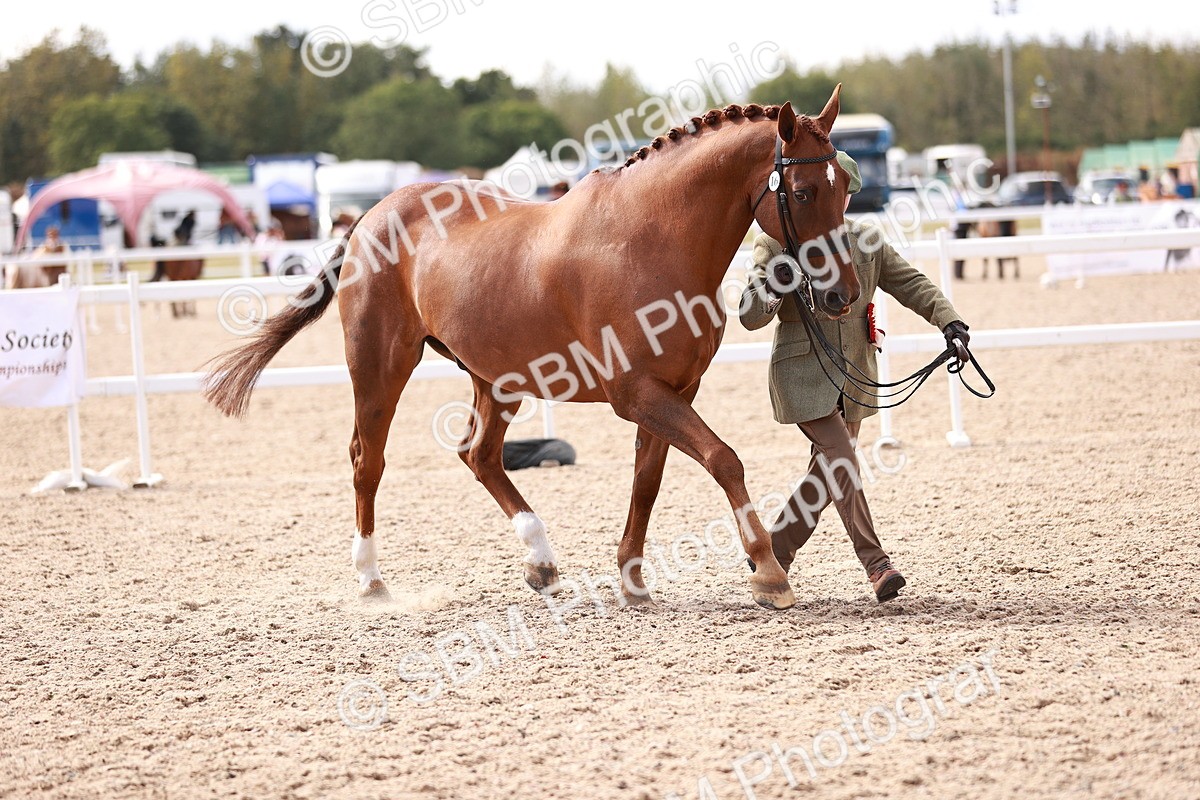 SBM_13376 - class 406 - IH Hunter