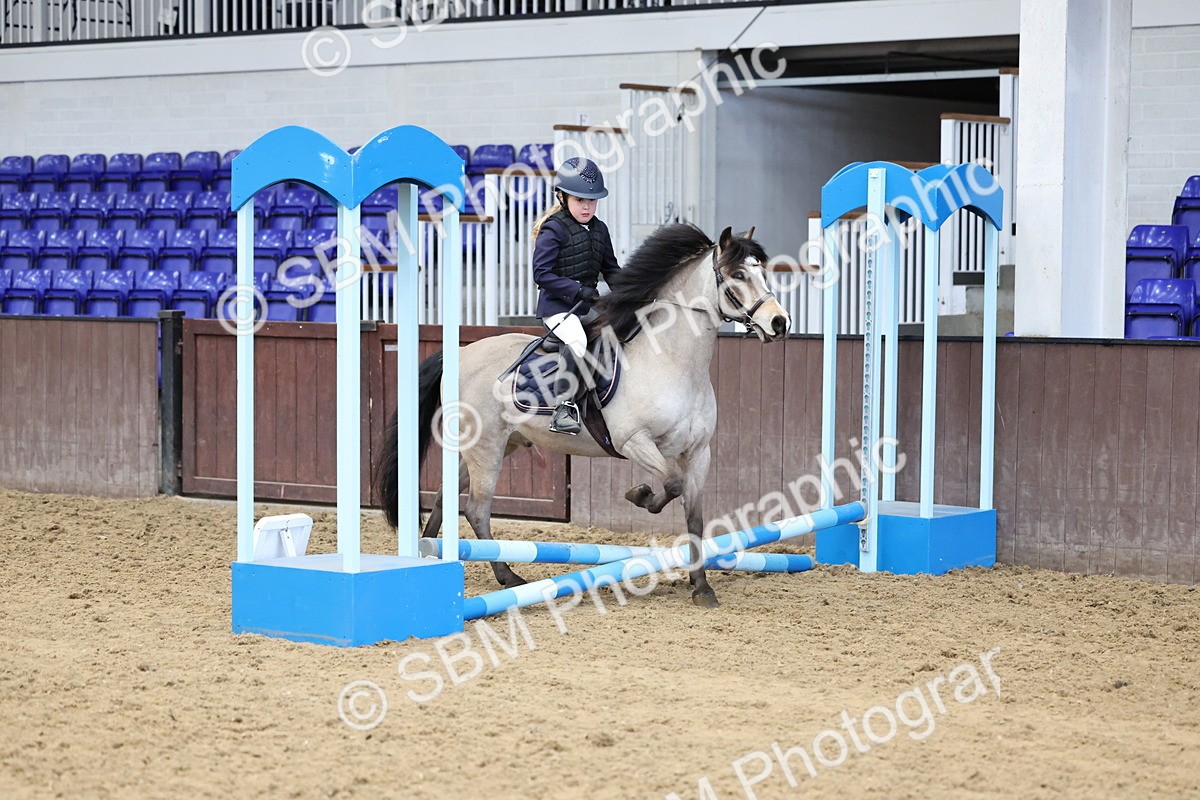 SBM_007028 - Class 1 - 40cm showjumping