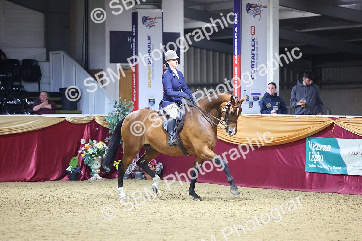 0B8A4458 - Class O Ridden Show Horse Champ