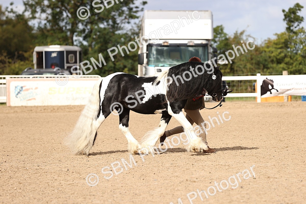 SBM_09331 - Class 404 - IH Traditional - Native Cob