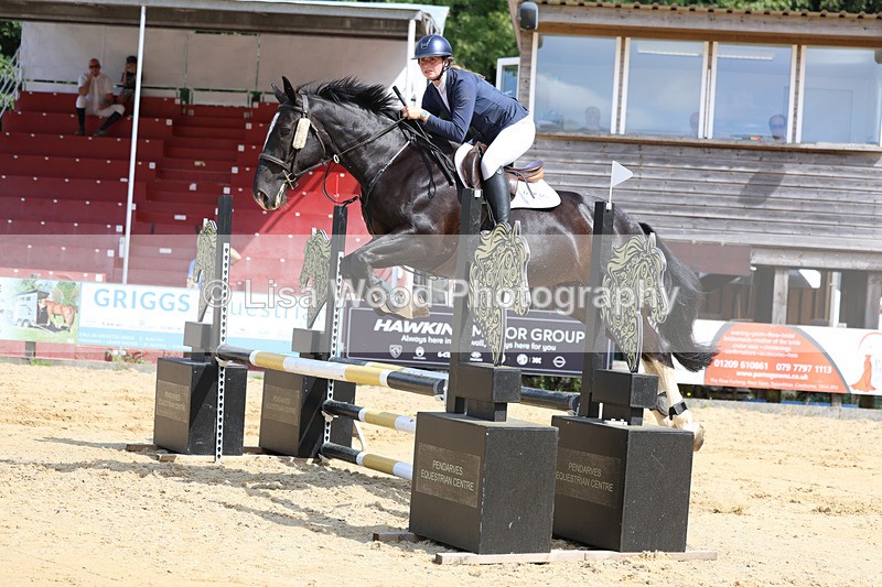 3E7A3497 - Class 4: Senior British Novice/90cm open