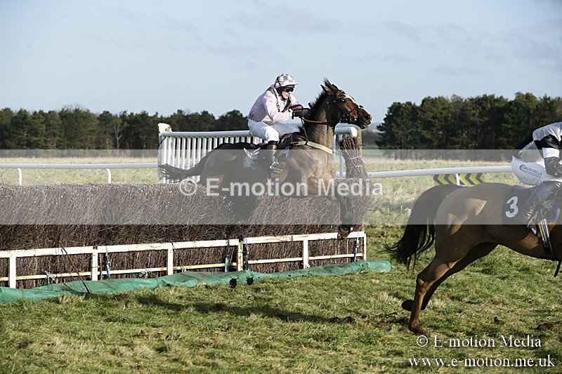 PtP 070118 -70 - Larkhill Racing Club Point to Point Larkhill 07/01/2018