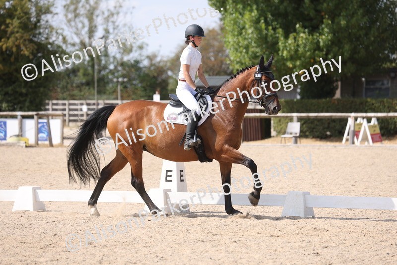 20260815-1071 - Class 6 - Novice 2