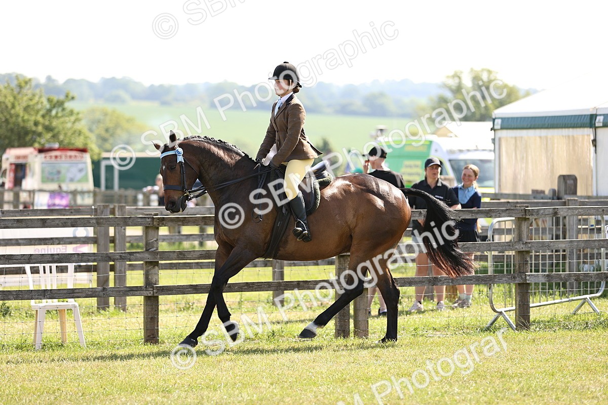 SBM_12899 - Class 75-76 LIHS BSHA Rising Star Hack Riding Horse