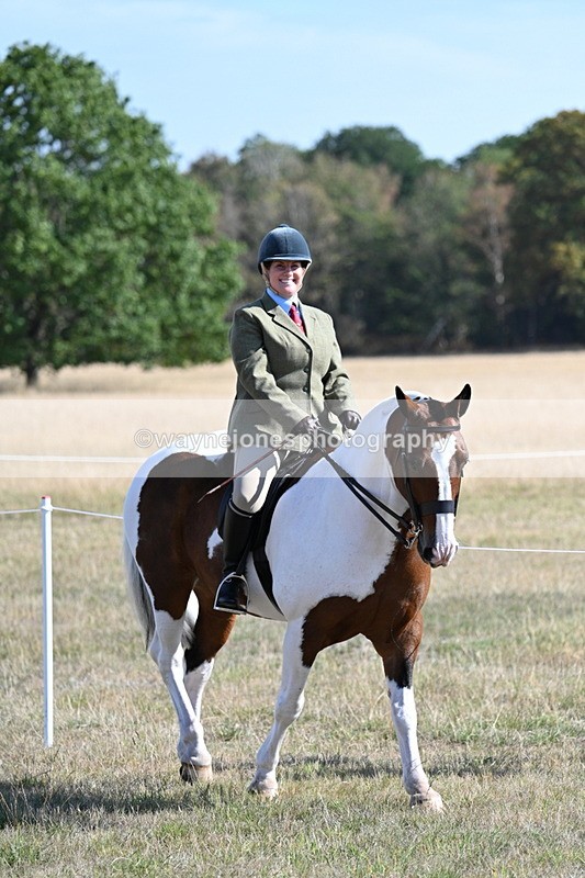 WJ7_3071 - Class 8 Ridden Tack & Turnout