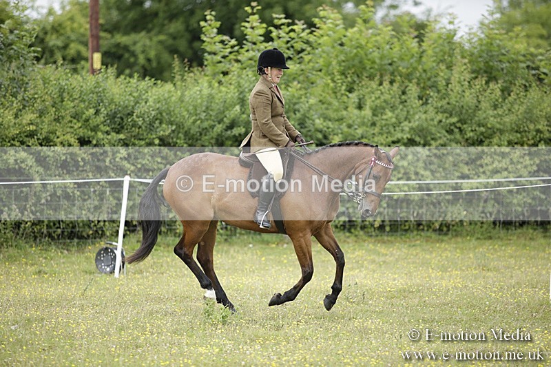 BVR160717-779 - Ring 1 BVRC Show 16/07/17