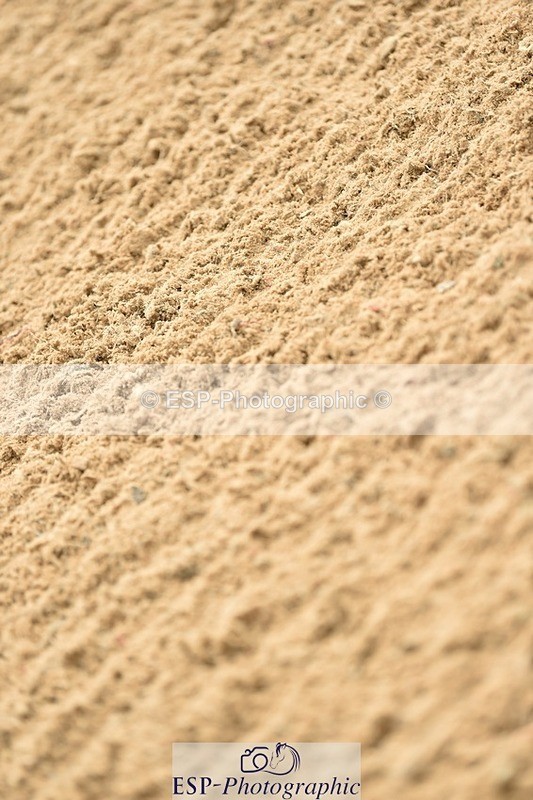 230618-151804-13114 - Cls 21 128cm HOYS 2nd Round