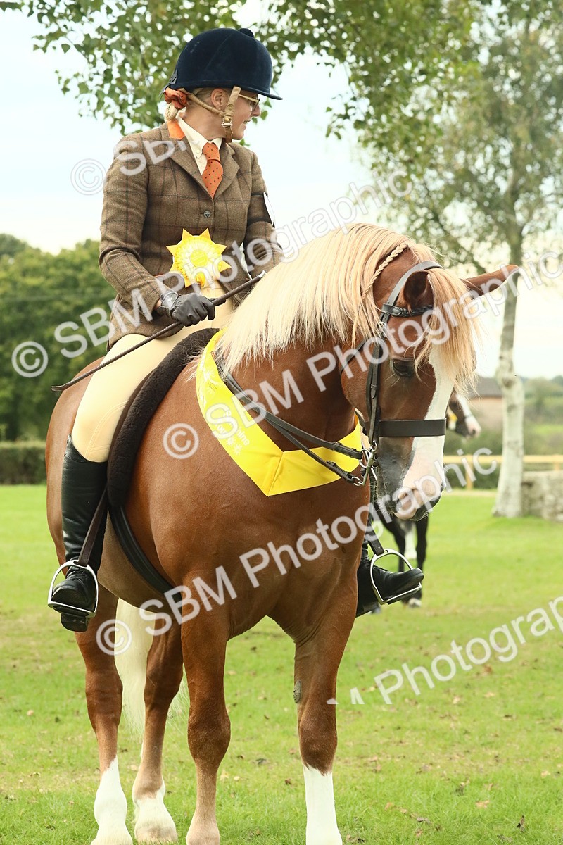 SBM_75074 - Ridden Pony Supreme Championship