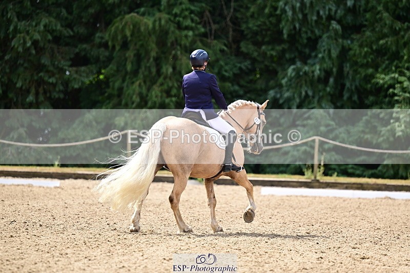 260802A-111251-05736 - Novice Silver break - break